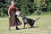 Ukázka výcviku psů