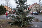 Vánoční stromek v Sedlci