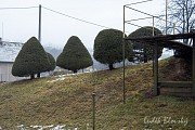 Udržované okrasné stromky poblíž mýtnice