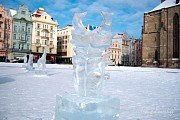 Ledová ZOO na plzeňském náměstí