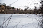 Špitálský rybník v Nepomuku napájí potok Mihovka