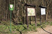Meandry Voldušského potoka daly vznik PP Niva u Volduch