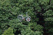 Bicykl mezi stromy u Plas 10. 6. 2015