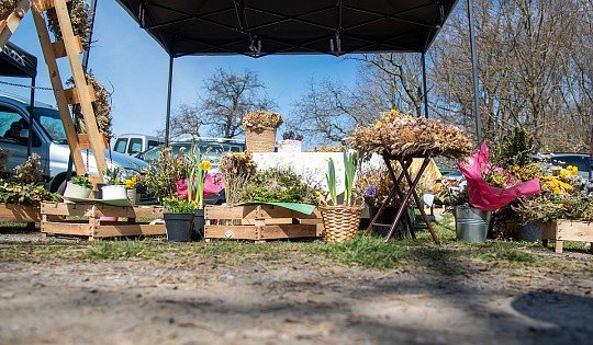 Jarní trhy na Vlčtejně