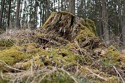 Přístřešek Na Brantě slouží lesní zvěři řadu let
