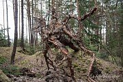 Přístřešek Na Brantě slouží lesní zvěři řadu let