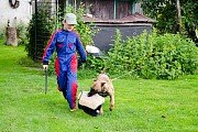Výcvik psa na figurantovi 24. 8. 2014