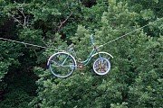 Bicykl mezi stromy u Plas 10. 6. 2015