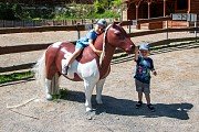 Farmapark U Toma, Ledce