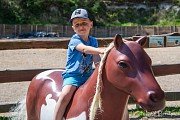 Farmapark U Toma, Ledce