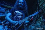 Murmur