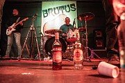 Brutus