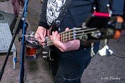 Revival Alkehol