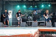 SCORZONERA