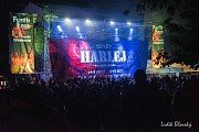 Harlej