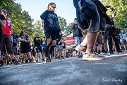 Spineless Fuckers