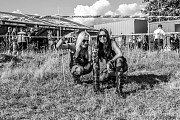 Born To Die (Švédsko)