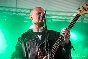 Laid to Waste