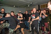 Koncert S.P.S.