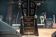 Aleš Brichta Project