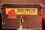 Brutus
