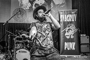 Švagrův punk