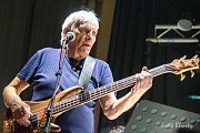 Z koncertu