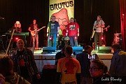 Brutus
