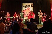 Brutus