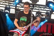 Pantera Czech