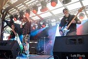 Pantera Czech